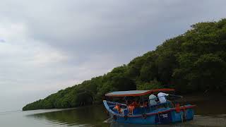 preview picture of video 'Koringa rain forest trip to sea shore'