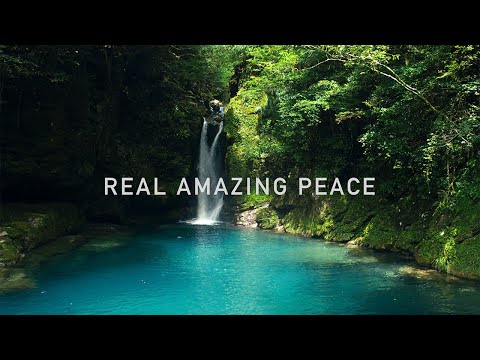 REAL AMAZING PEACE  - VISIT KOCHI JAPAN