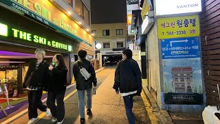 🇰🇷3年ぶりに韓国旅行来た日本人w[民族村、水原観光]
