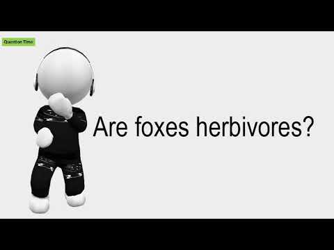 Is Afox Herbivore