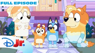 Bluey Double Babysitter FULL Episode! | @disneyjr