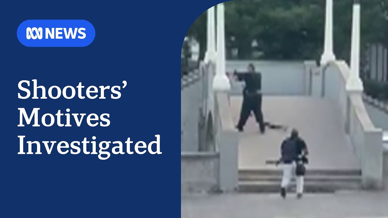 What we know about the father and son behind the Bondi terror attack | ABC NEWS