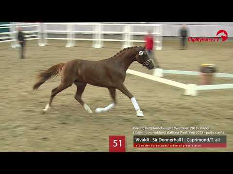 51 Hengst v. Vivaldi - Sir Donnerhall - Caprimond/T.