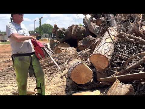 Stihl Hexa Ground vs RS33 vs Round Hand File