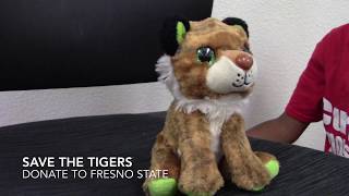 Save the Tigers