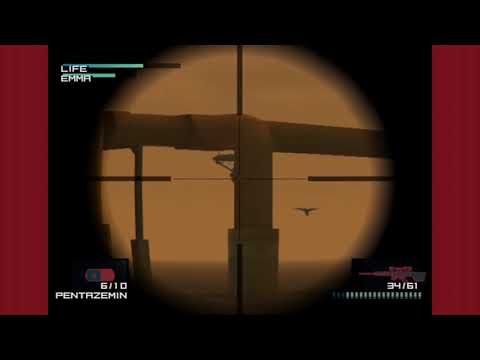 SGB Highlights - Seagull hunting