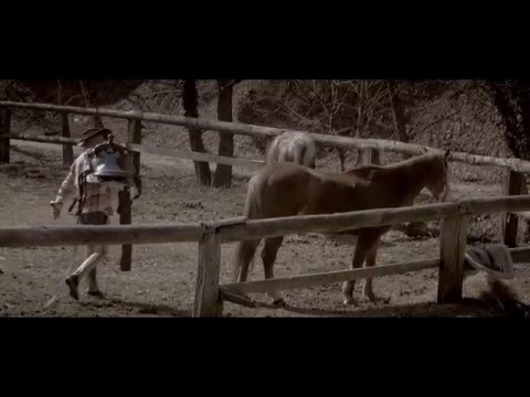 Vlaho - Home (Official Video)