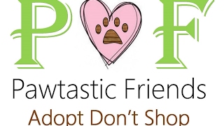 Pawtastic Friends - Huck!