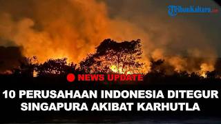 🔴NEWS UPDATE: 10 Perusahaan RI Ditegur Singapura soal Karhutla, Pemerintah Siap 