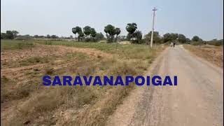  Agricultural Land for Sale in Vandavasi, Tiruvannamalai