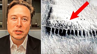 Elon Musk Just Reported That A Huge Miles Long Object Is Moving Across Antarctica