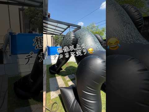 terrasse et jardin maison-luxe-bassin-baie-vitrée-accordéon