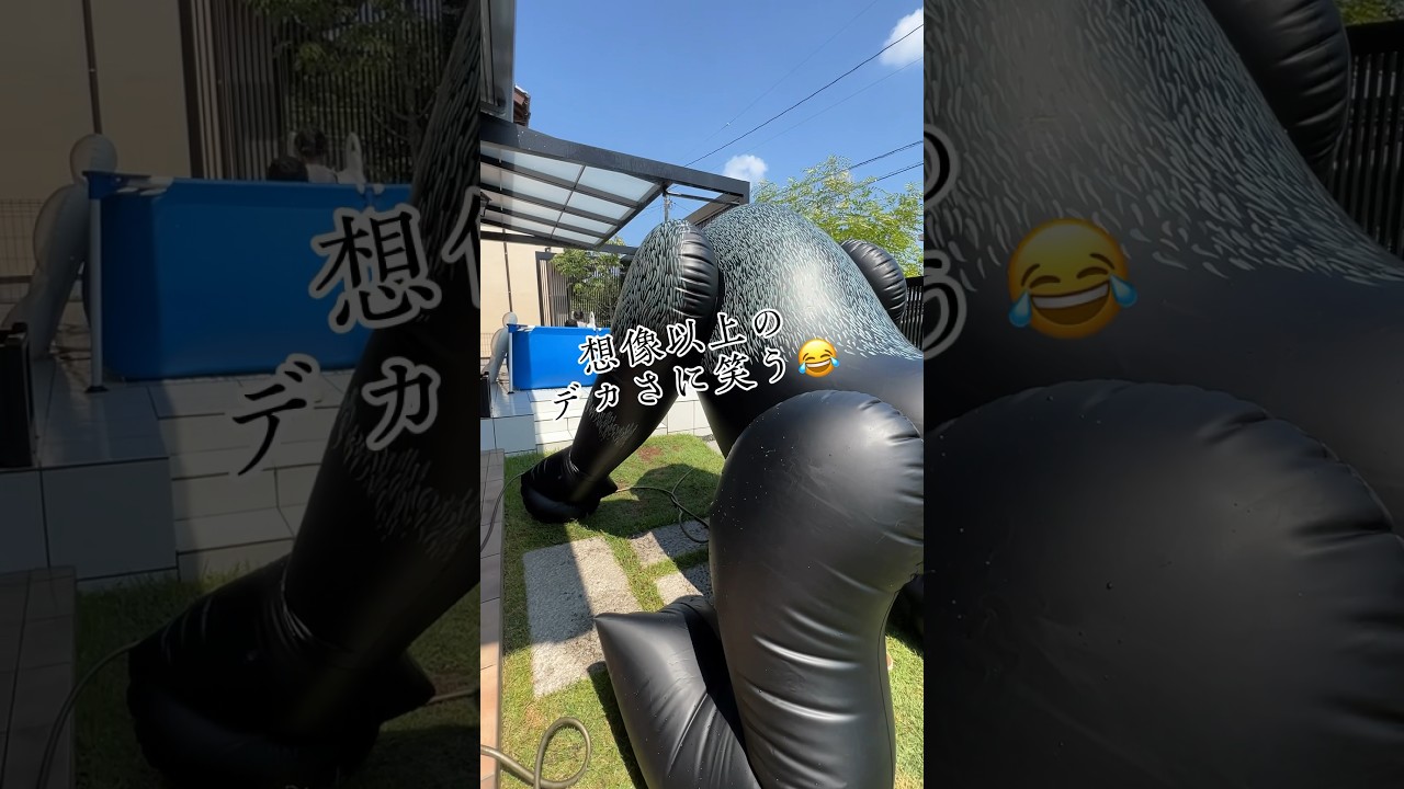 噴水ゴリラを膨らませてみた！ #おうちプール #フレブル
