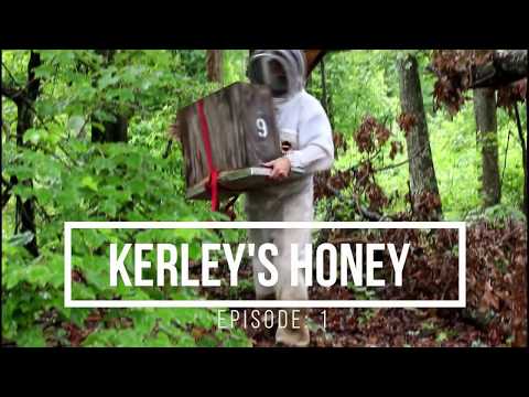 EPISODE 1: CATCHING A SWARM