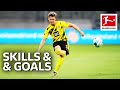 Lukasz Piszczek • Magical Skills & Goals