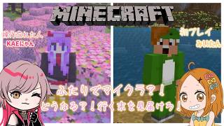 【#マイクラ】　要塞発見！？たどり着ける！？　#ラジオ　#雑談　#にゃんこ屋　#夫婦配信