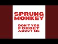 Don't You (Forget About Me)