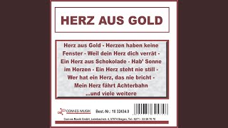 Ich mach&#39; ein Interview mit deinem Herzen (Re-Recording)