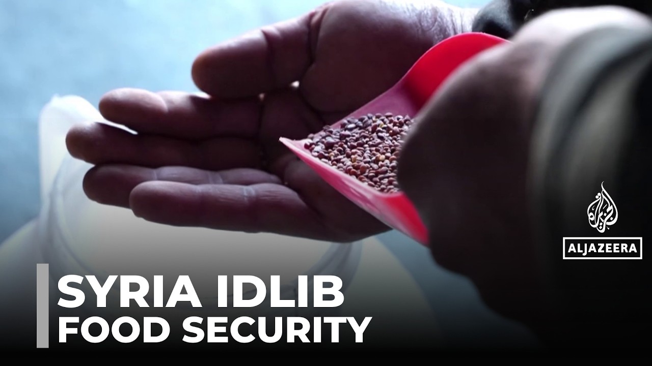 Idlib heirloom seeds help displaced families become self-sufficient