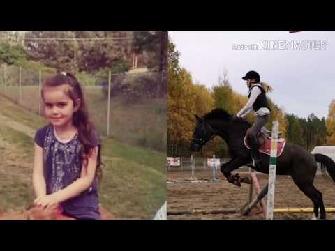 The avener- Fade out lines ( edit video) moja historia || guariba showjumper