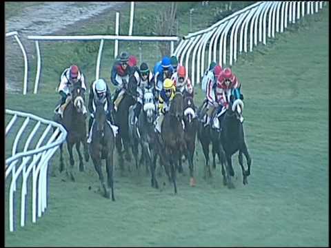 Galoppo 14/01/2017 - 2ª corsa