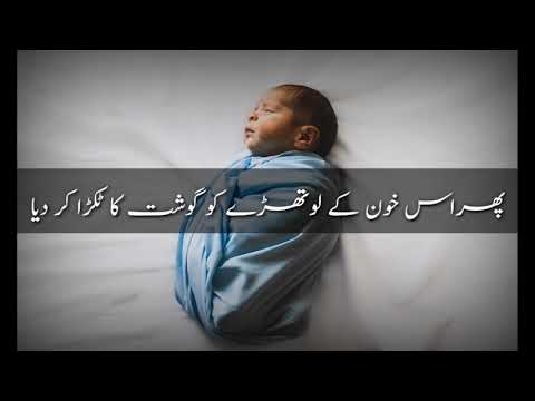 Surah Al Mu'minoon | 12 - 16 | Al Qur'an | Urdu Subtitles | Creation of human beings