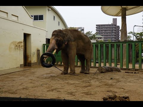 2023.10.08 15:51 マック タイヤ遊び