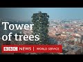 Could Vertical Forests Improve Our Cities And Health BBC World Service