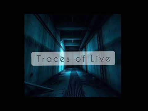 Ari X - Traces of Live (Audio Version)