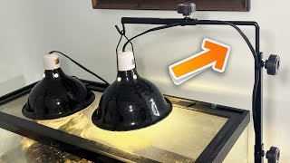 Surfante Reptile Lamp Stand - User Review