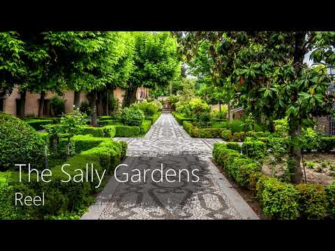 Sally Gardens - Reel G | Learn Irish Music