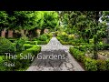 The Sally Gardens - Reel G (Slow Tempo - Learn Irish Music)