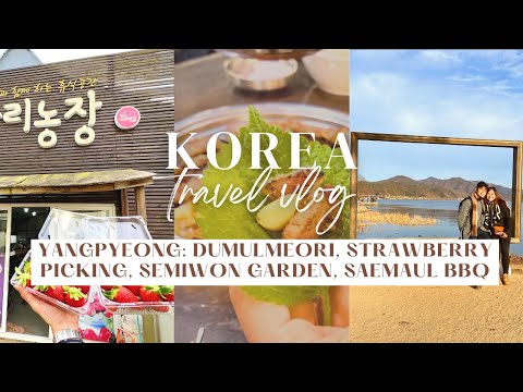 Coreia Vlog Parte 9 | Viagem diurna a Yangpyeong, Dumulmeori, Jardim Semiwon, colheita de morango, churrasco Saemaul