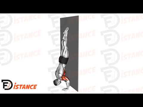 Exercice Pompes strictes en équilibre contre le mur (Handstand push ups - HSPU)
