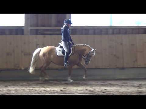 ASG Cheyenne (*2012 v. Casino Royale K) 09.06.2017