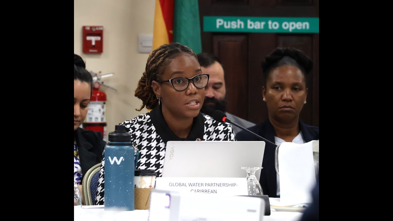 Dr Roxanne Graham Presents at the PISLM's High Level Ministerial Meeting in Grenada