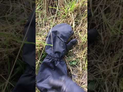 Fausthandschuhe der Schweizer Armee mit Abzugfinger