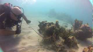preview picture of video 'Hunting lobsters in Guantanamo Bay, Cuba'