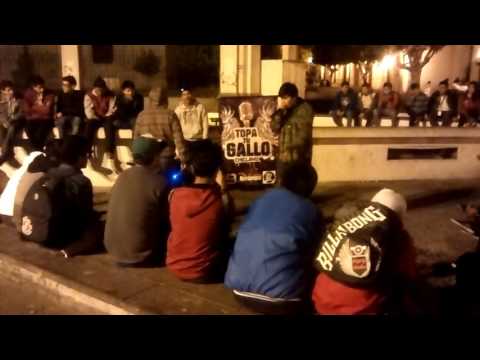 hubeycase vs flamer TOPA TU GALLO