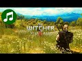 Meditate Like A WITCHER 10 HOURS Relaxing Music SLEEP STUDY FOCUS