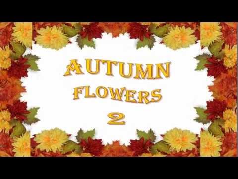AUTUMN  FLOWERS  2