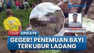 Heboh Penemuan Jasad Bayi yang Terkubur di Ladang Daerah Cepogo Boyolali, Diduga Baru Lahir