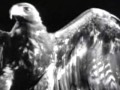 Seal - Come see what love has done