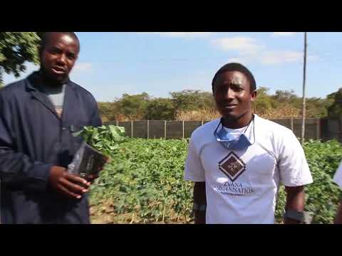 Zvana Organization visit to the Jairos Jiri Association