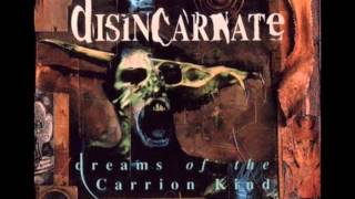 Disincarnate - Soul Erosion