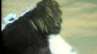 Godzilla vs. Mothra (1998) Video