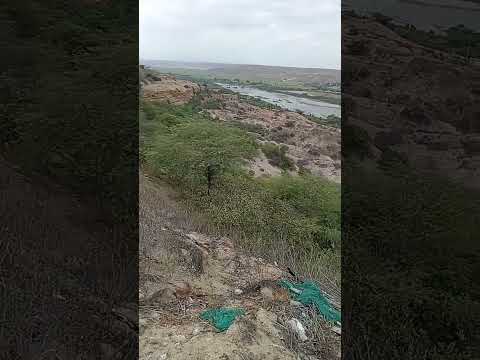 de Piura a Talara, viva el Perú.
