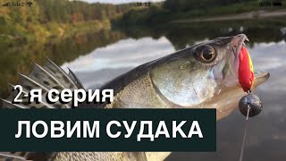 Ссылка