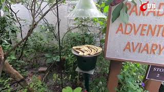 Butterfly Park
