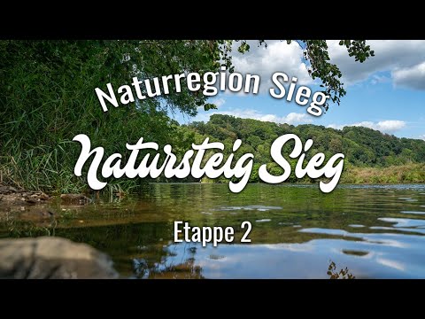 Natursteig Sieg - Etappe 2 | Hennef bis Blankenberg | Wandern Naturregion-Sieg